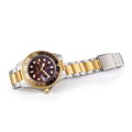 Steinhart Ocean One GMT two- tone CHOCOLATE Diver Watch