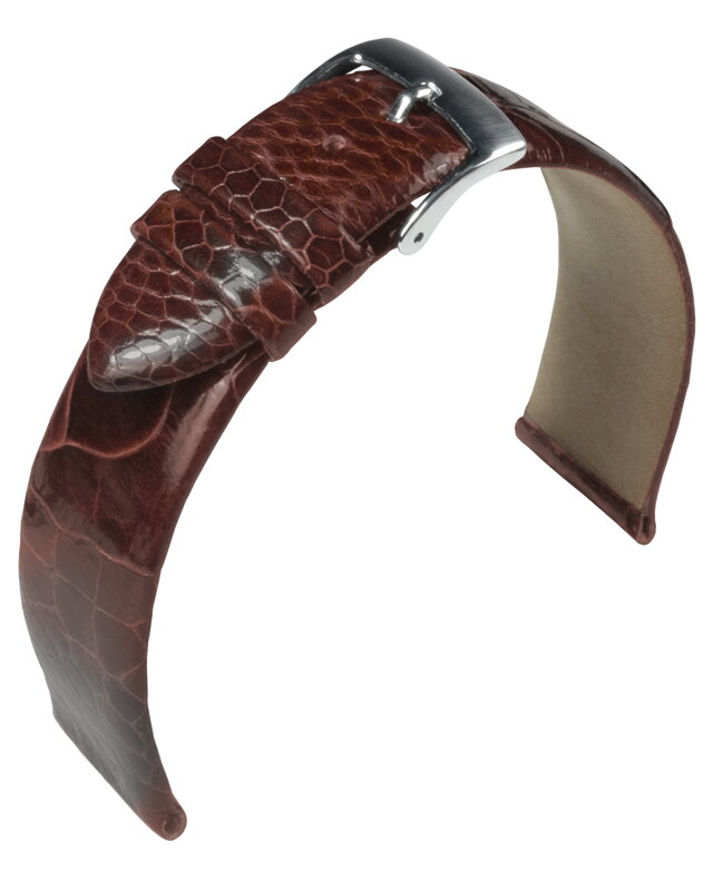 Barington - Ostrich leg - golden brown - leather strap Barington - Ostrich leg - golden brown - leather strap